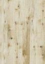 Пробковые полы (клеевые) Print Cork  Corkstyle/Коркстайл (клеевые) Wood - Oak Virginia White