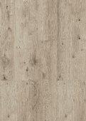 Пробковые полы (клеевые) Print Cork  Corkstyle/Коркстайл (клеевые) Wood - Oak Grey